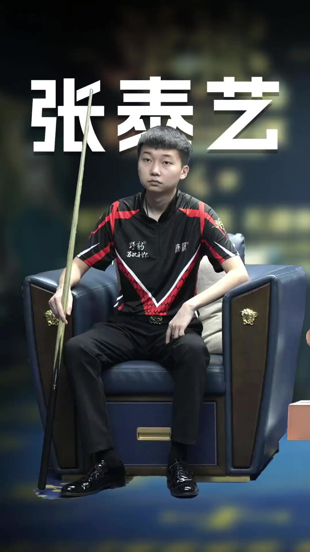 莱斯特城奇 莱斯特城奇